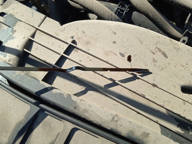 ford focus iv (hn) del año 2021