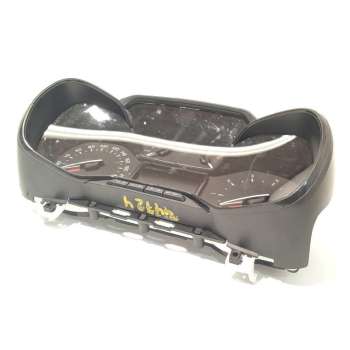 CUADRO INSTRUMENTOS 9813361380 