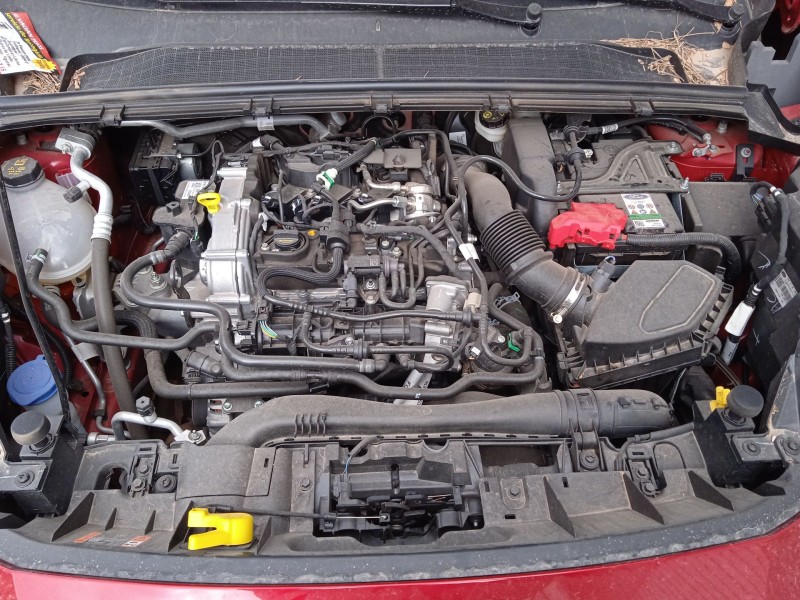 ford puma (j2k, cf7) del año 2023