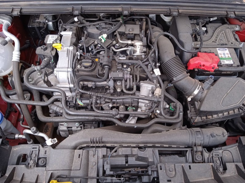 ford puma (j2k, cf7) del año 2023