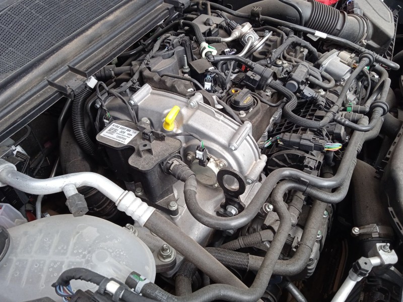 ford puma (j2k, cf7) del año 2023