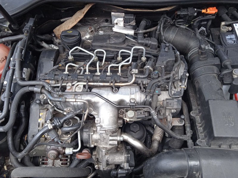 volkswagen golf vi (5k1) del año 2008