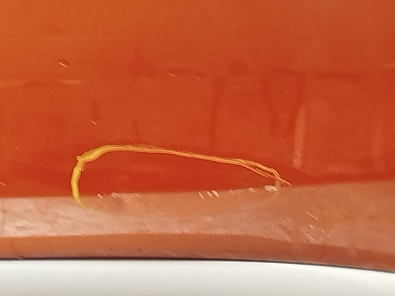 Recambio de puerta trasera izquierda para mg mg zs suv 1.5 vti referencia OEM IAM 10322167  