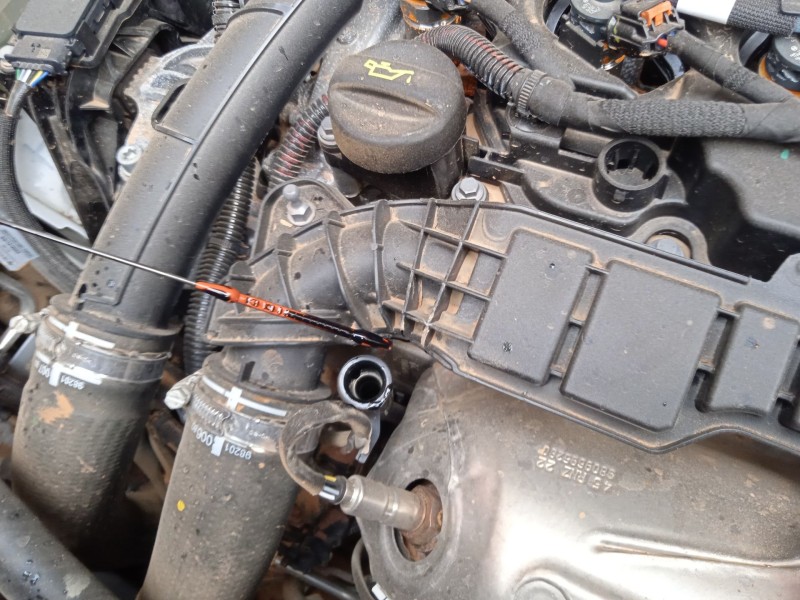 fiat doblo furgoneta/monovolumen (510_, 511_) del año 2023