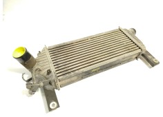 Recambio de intercooler para nissan pathfinder iii (r51) 2.5 dci 4wd referencia OEM IAM 14461EB360  