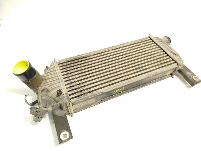 Recambio de intercooler para nissan pathfinder iii (r51) 2.5 dci 4wd referencia OEM IAM 14461EB360  