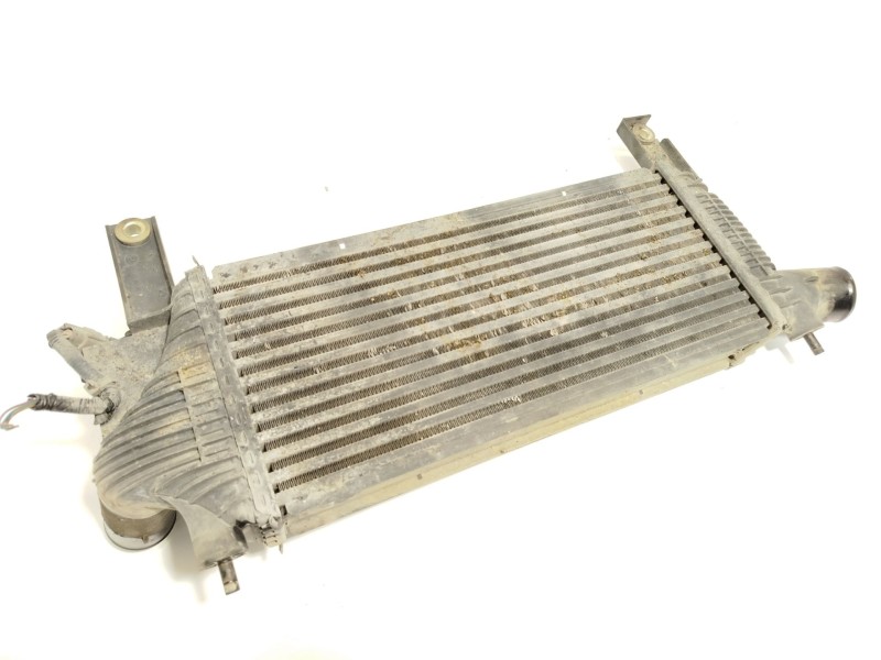 Recambio de intercooler para nissan pathfinder iii (r51) 2.5 dci 4wd referencia OEM IAM 14461EB360  
