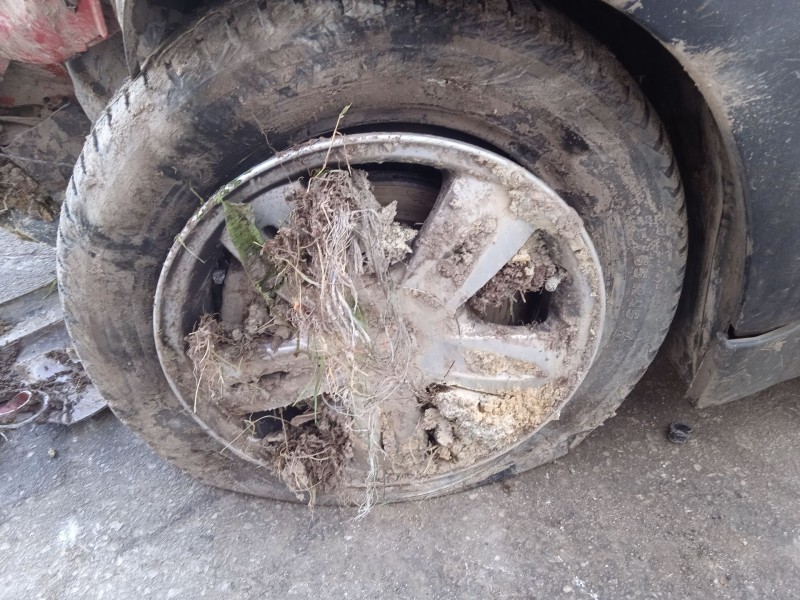 mini mini (r50, r53) del año 2006