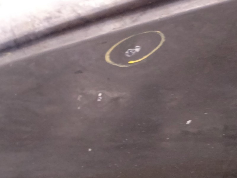 Recambio de capot para fiat ducato furgoneta (250_) 130 multijet 2,3 d referencia OEM IAM 50161460  