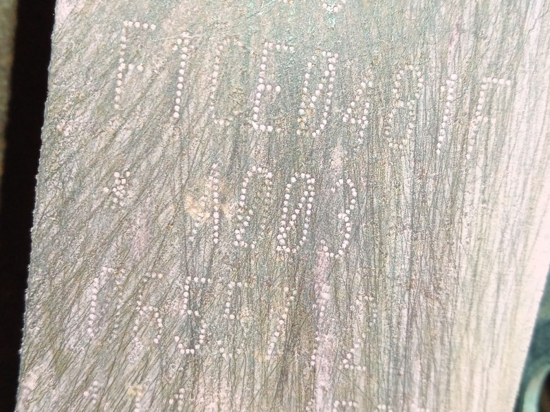 Recambio de despiece motor para iveco daily iv caja/chasis 35c15 referencia OEM IAM F1CE0481F  