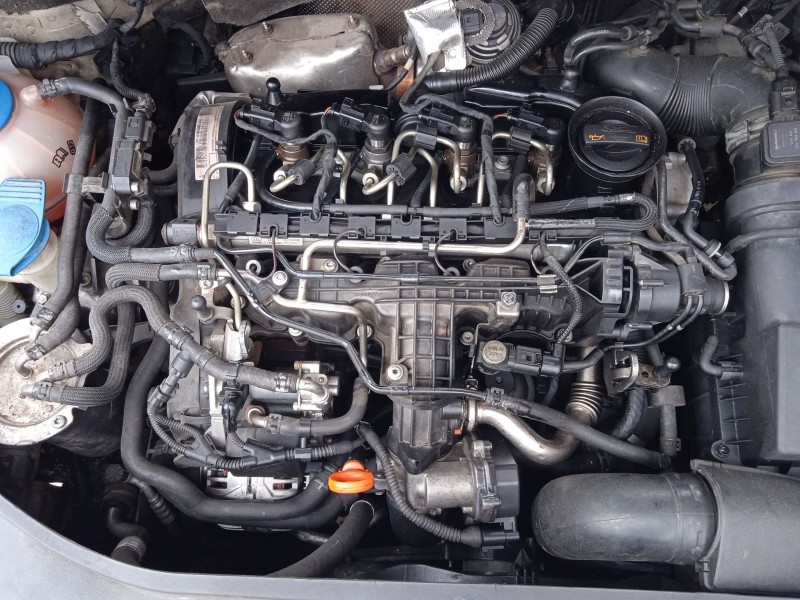 volkswagen golf plus v (5m1, 521) del año 2010