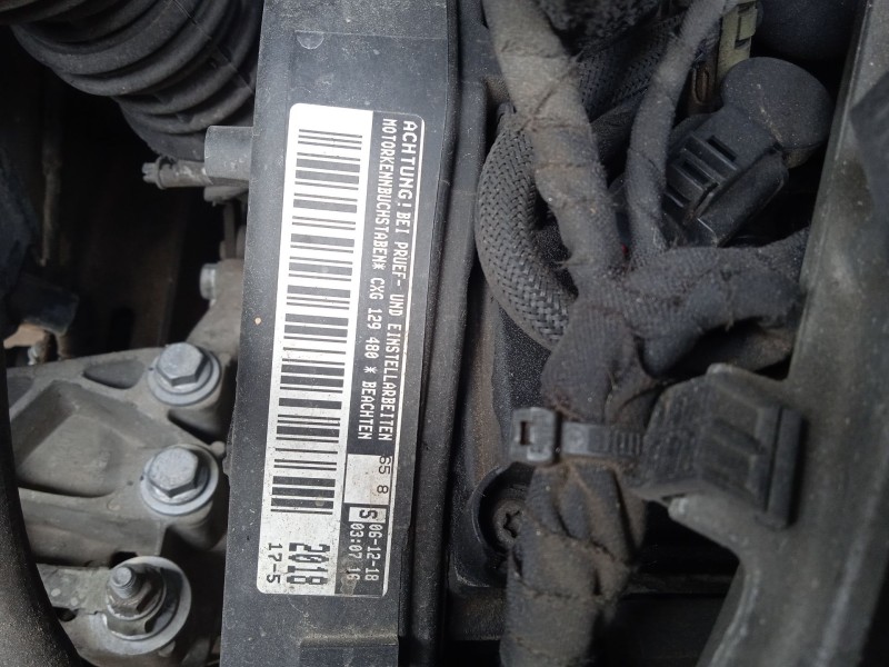 volkswagen transporter t6 furgoneta (sga, sgh, sha, shh) del año 2019