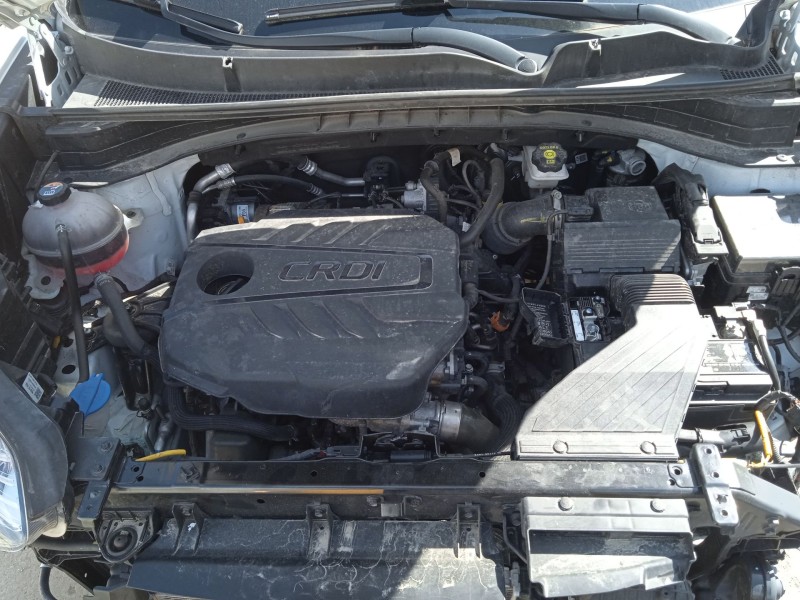 kia sportage iv (ql, qle) del año 2021