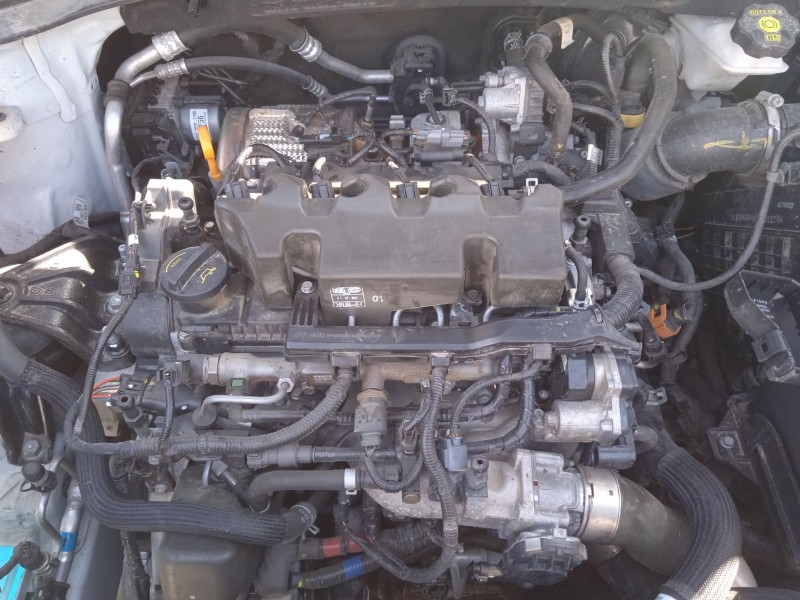 kia sportage iv (ql, qle) del año 2021