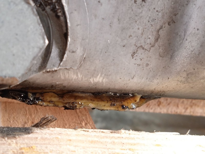 Recambio de despiece motor para seat toledo ii (1m2) 1.9 tdi referencia OEM IAM ARL  