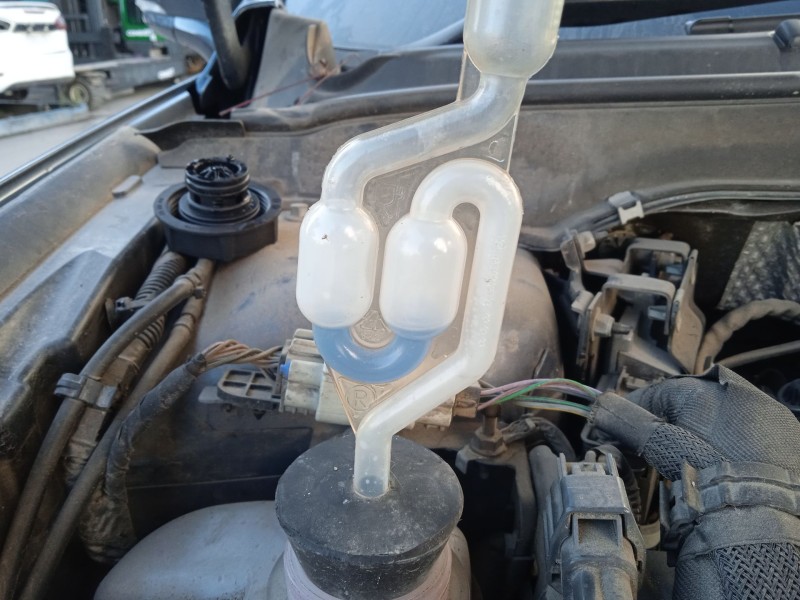 ford mondeo v hatchback (ce) del año 2019