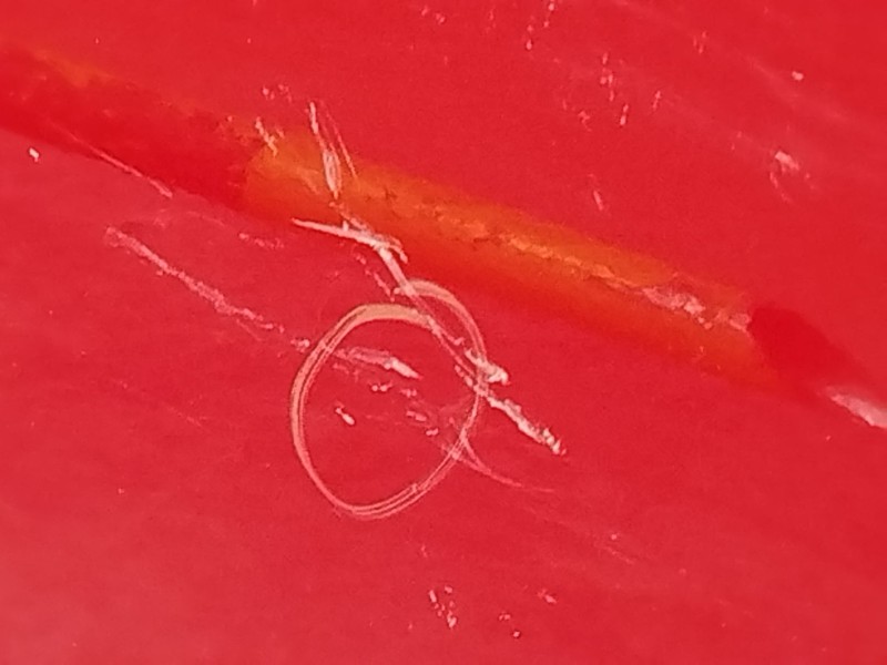 Recambio de puerta delantera derecha para mini mini (r50, r53) cooper referencia OEM IAM 41515A2A3A2  