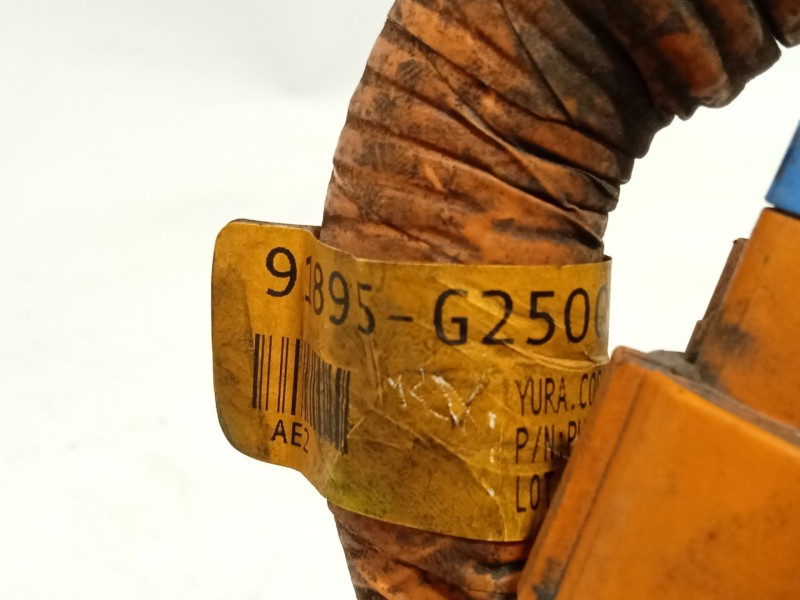 Recambio de modulo electronico para hyundai ioniq (ae) 1.6 gdi hybrid referencia OEM IAM 91895G2500  A25018A2001153