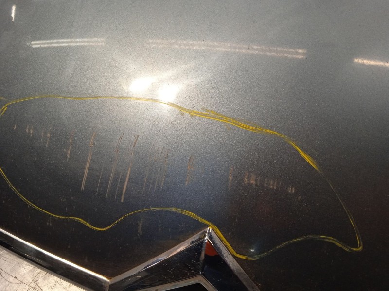 Recambio de capot para citroën c5 iii (rd_) 2.0 16v referencia OEM IAM 7901P3  