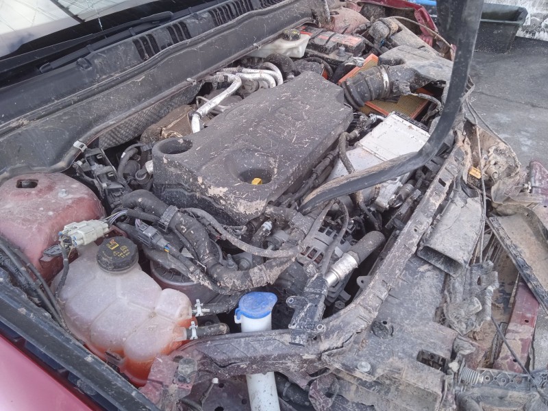 ford mondeo v hatchback (ce) del año 2019