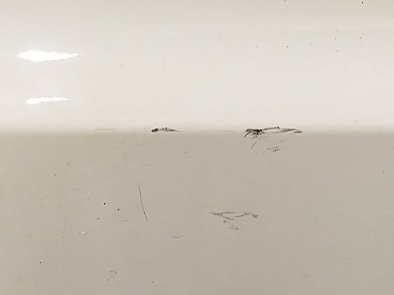 Recambio de puerta trasera derecha para bmw x3 (e83) 2.0 d referencia OEM IAM 41003449338  