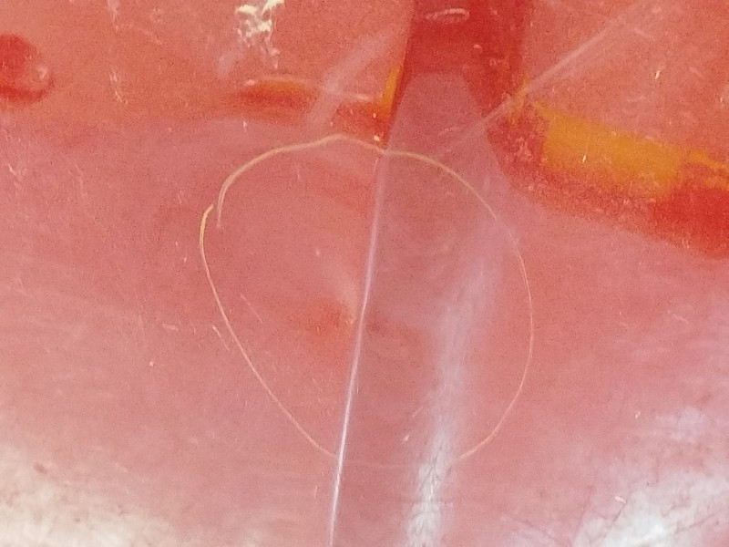 Recambio de capot para kia rio iv (yb, sc, fb) 1.25 referencia OEM IAM 66400H8000  