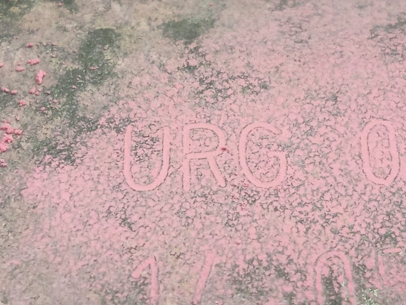 Recambio de caja cambios para volkswagen t-cross (c11, d31) 1.0 tsi referencia OEM IAM URG 0CW300020 