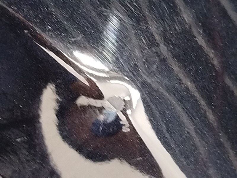 Recambio de aleta delantera izquierda para ford focus iii 1.0 ecoboost referencia OEM IAM 2171304 PBM51A16009AG 