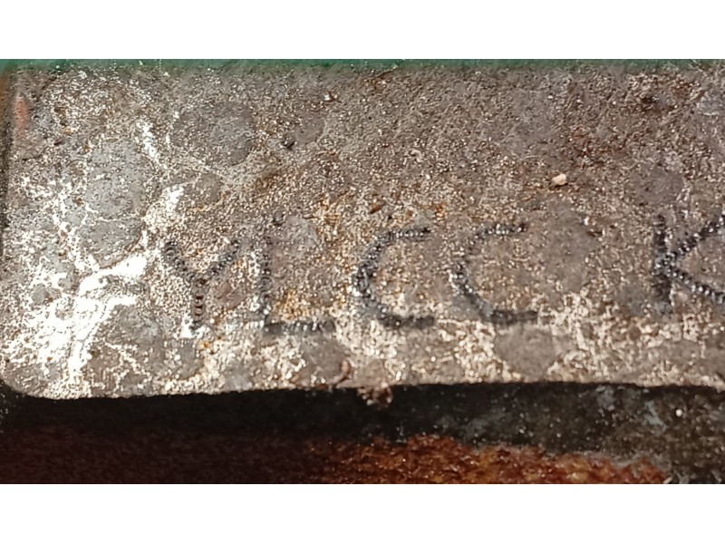 Recambio de motor completo para ford mondeo v hatchback (ce) 2.0 ecoblue referencia OEM IAM YLCC  