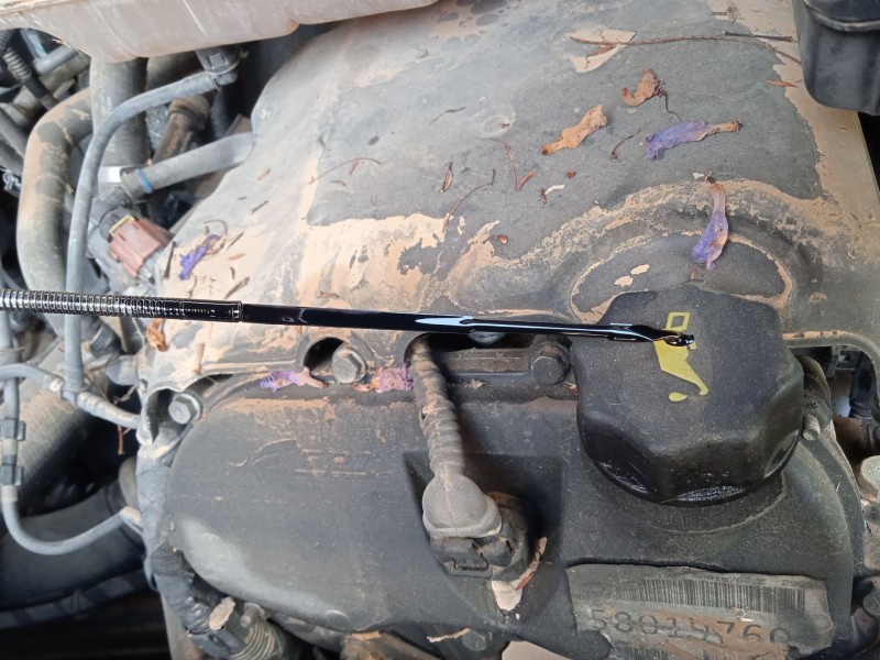 iveco daily vi caja/chasis del año 2017