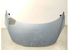 Recambio de capot para renault scenic iii dynamique referencia OEM IAM 651008842R  