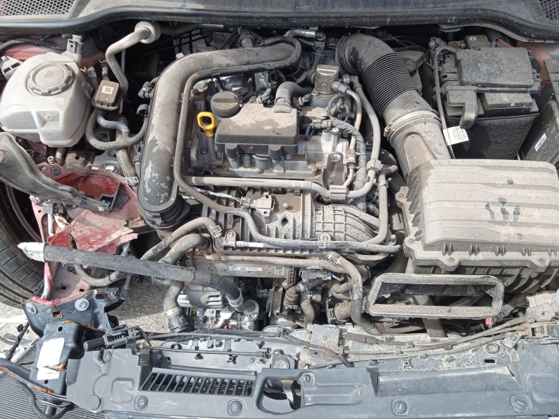 seat ibiza v (kj1, kjg) del año 2024