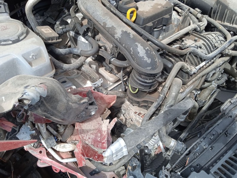 seat ibiza v (kj1, kjg) del año 2024