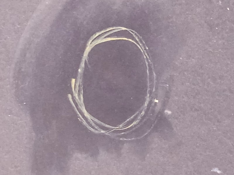 Recambio de capot para volkswagen passat b6 (3c2) 2.0 fsi referencia OEM IAM 3C0823031C  