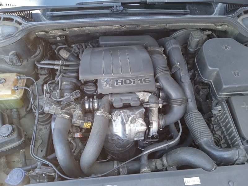 peugeot 407 (6d_) del año 2005