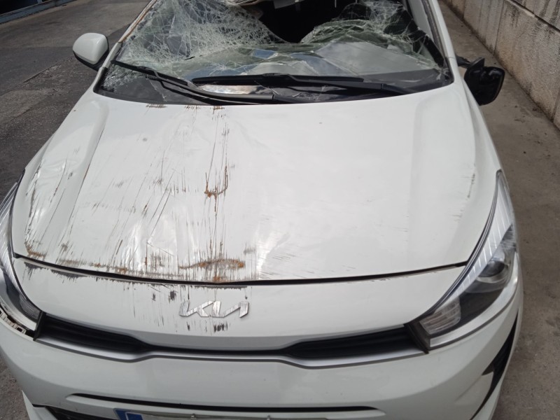 kia rio iv (yb, sc, fb) del año 2022