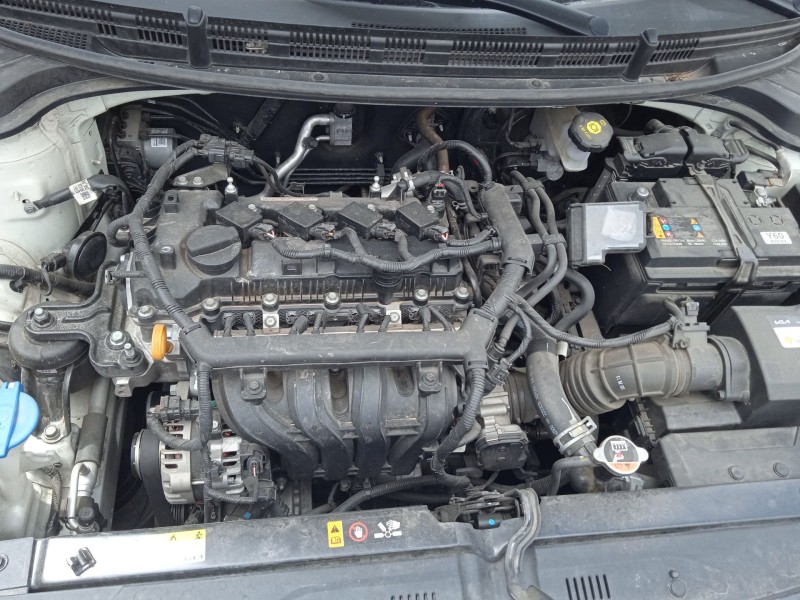 kia rio iv (yb, sc, fb) del año 2022