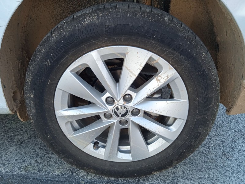 skoda kamiq (nw4) del año 2024