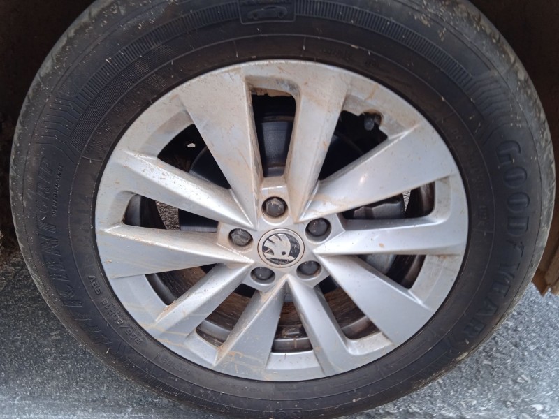 skoda kamiq (nw4) del año 2024