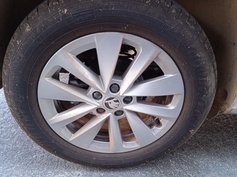 skoda kamiq (nw4) del año 2024