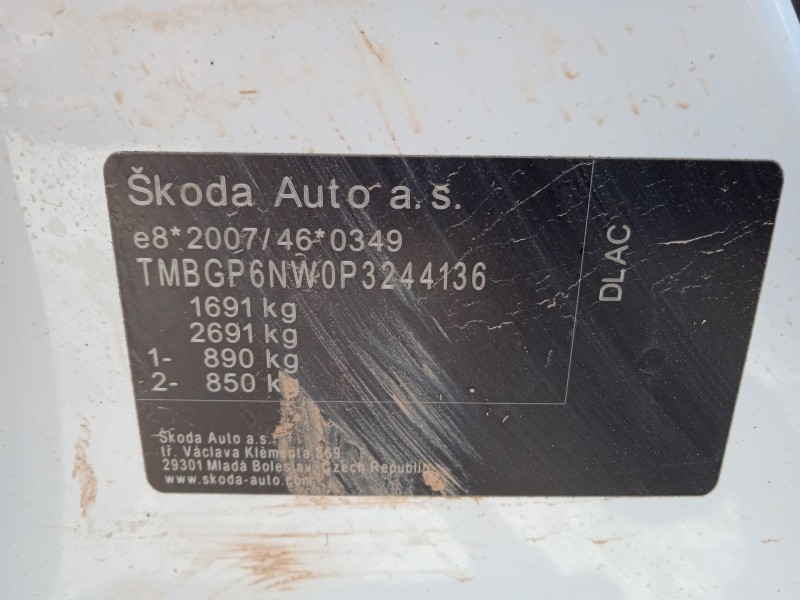 skoda kamiq (nw4) del año 2024