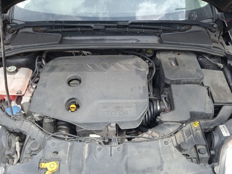 ford focus iii del año 2013