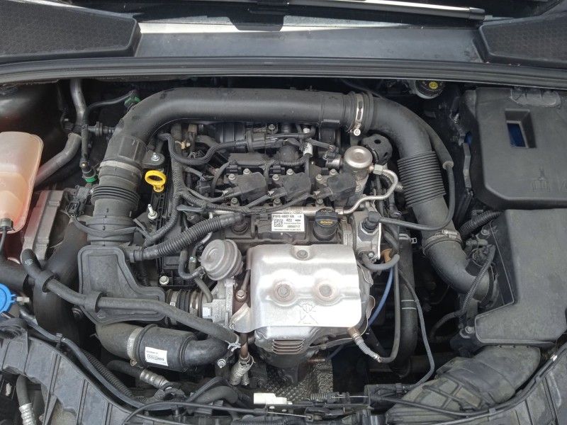 ford focus iv turnier (hp) del año 2017