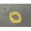 Recambio de abs para dacia sandero basis referencia OEM IAM 476603249R 0265956560 269707