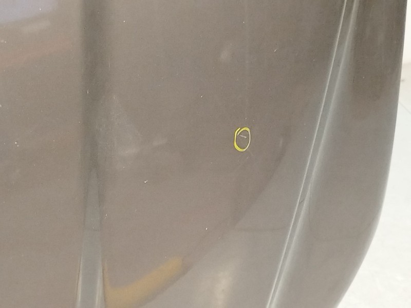 Recambio de capot para volvo s80 ii (124) d5 referencia OEM IAM 31371418  