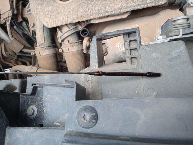 citroën berlingo (er_, ec_) del año 2020