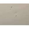 Recambio de puerta delantera izquierda para fiat doblo cargo (263_) 1.6 d multijet referencia OEM IAM 51810598  
