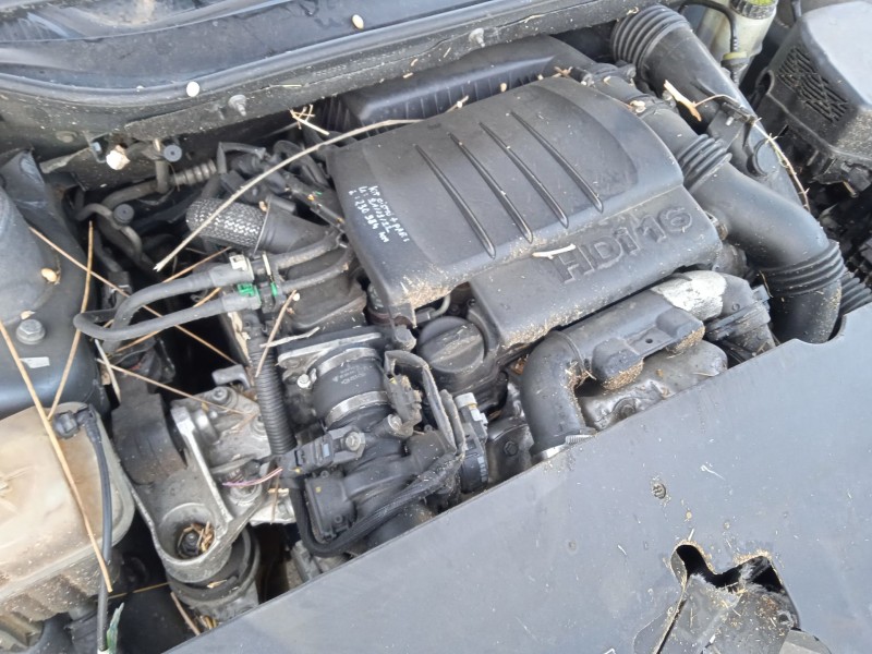 citroën c5 iii (rd_) del año 2010