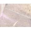 Recambio de caja cambios para renault captur ii (hf_) tce 160 (hfn1) referencia OEM IAM TL4388 320108352R 