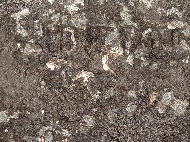 Recambio de llanta para chevrolet captiva (c100, c140) 2.0 d 4wd referencia OEM IAM 96941049  